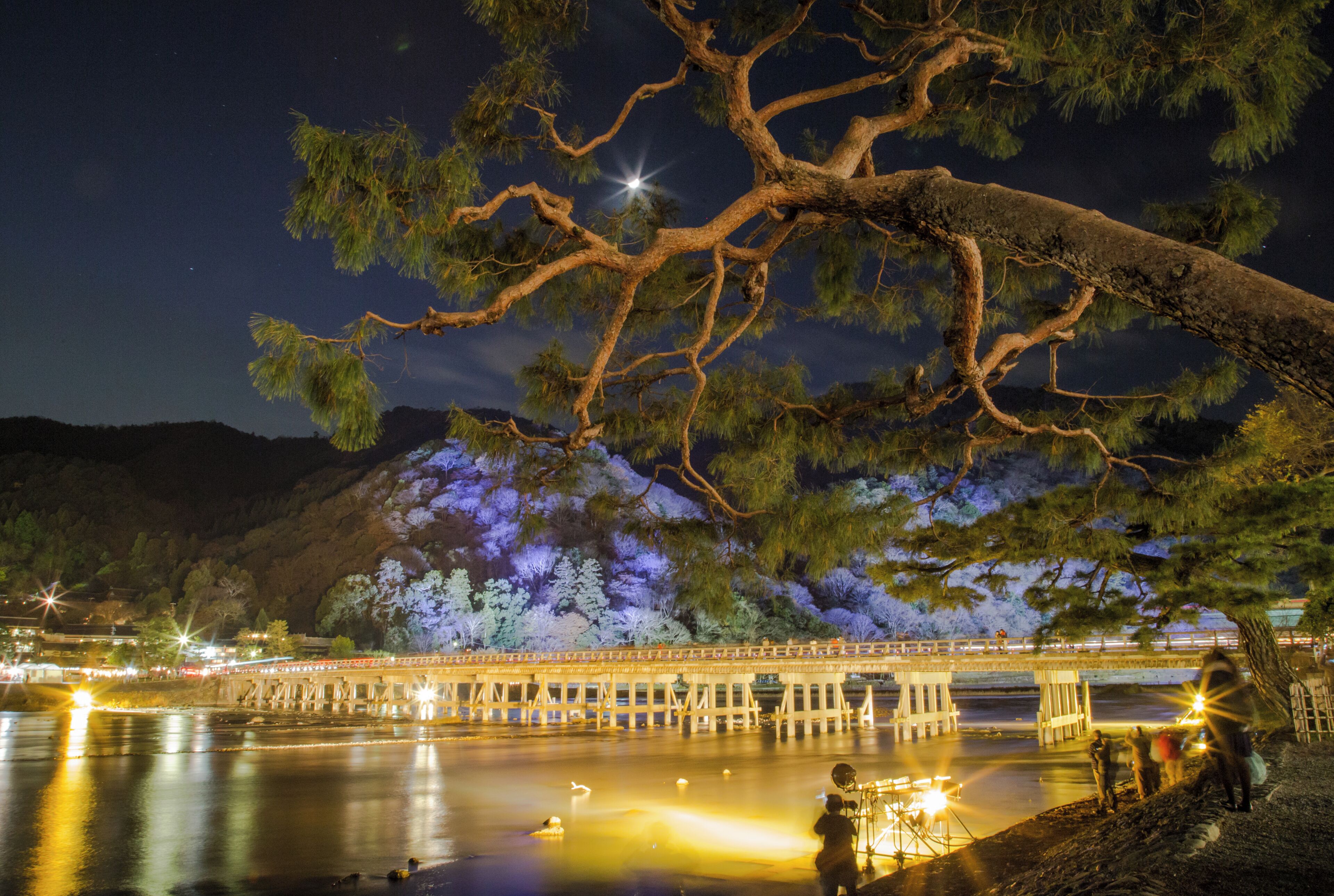 A night scene with a bridge over water, illuminated by artificial lights, and a large tree in the foreground.
