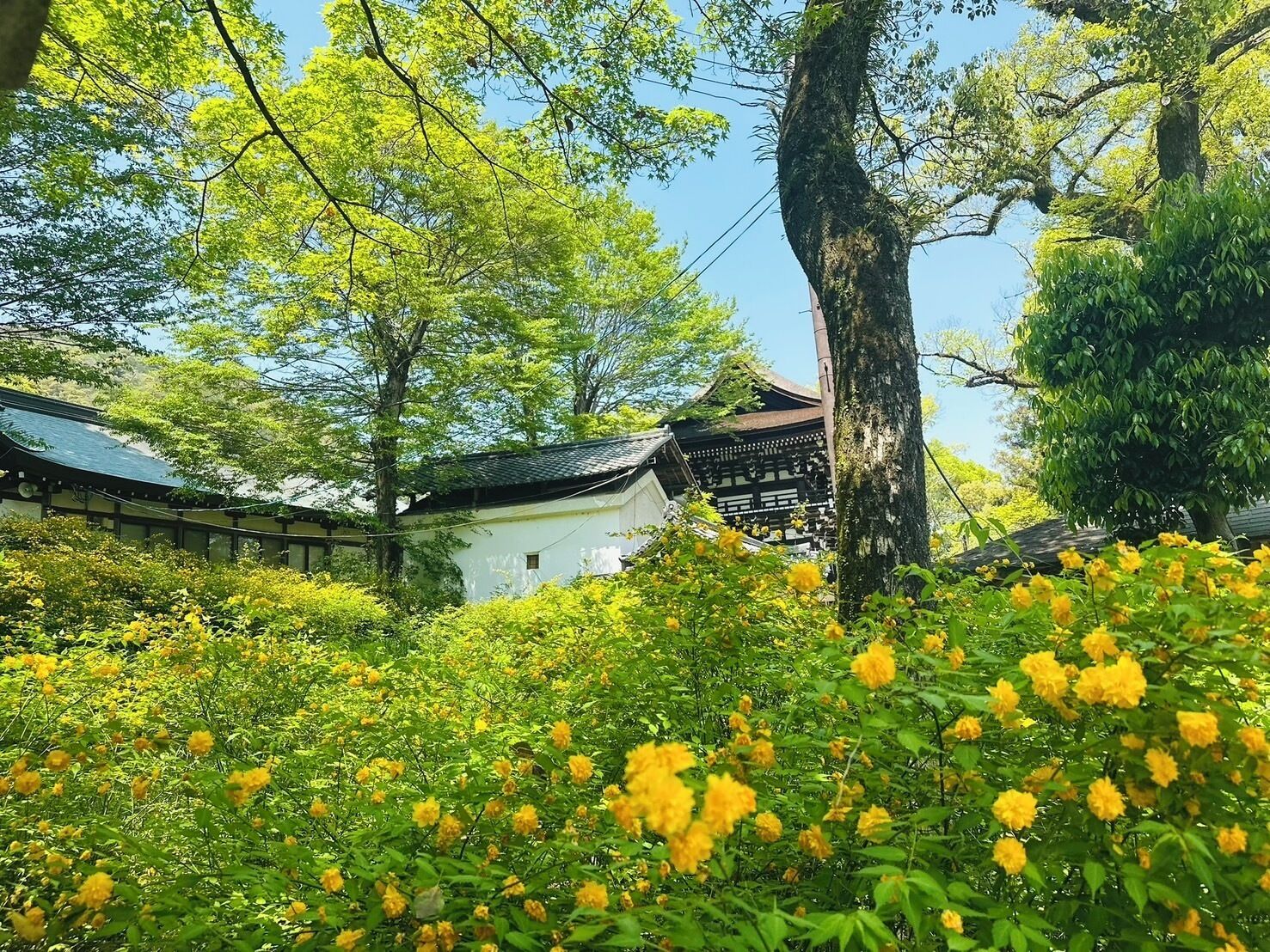 إطلالة على الشارع من المنشأة