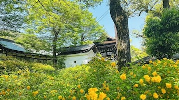 Land view from property