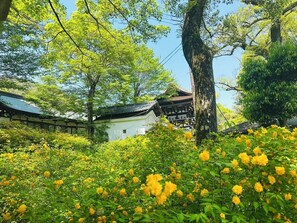 Blick auf die Umgebung