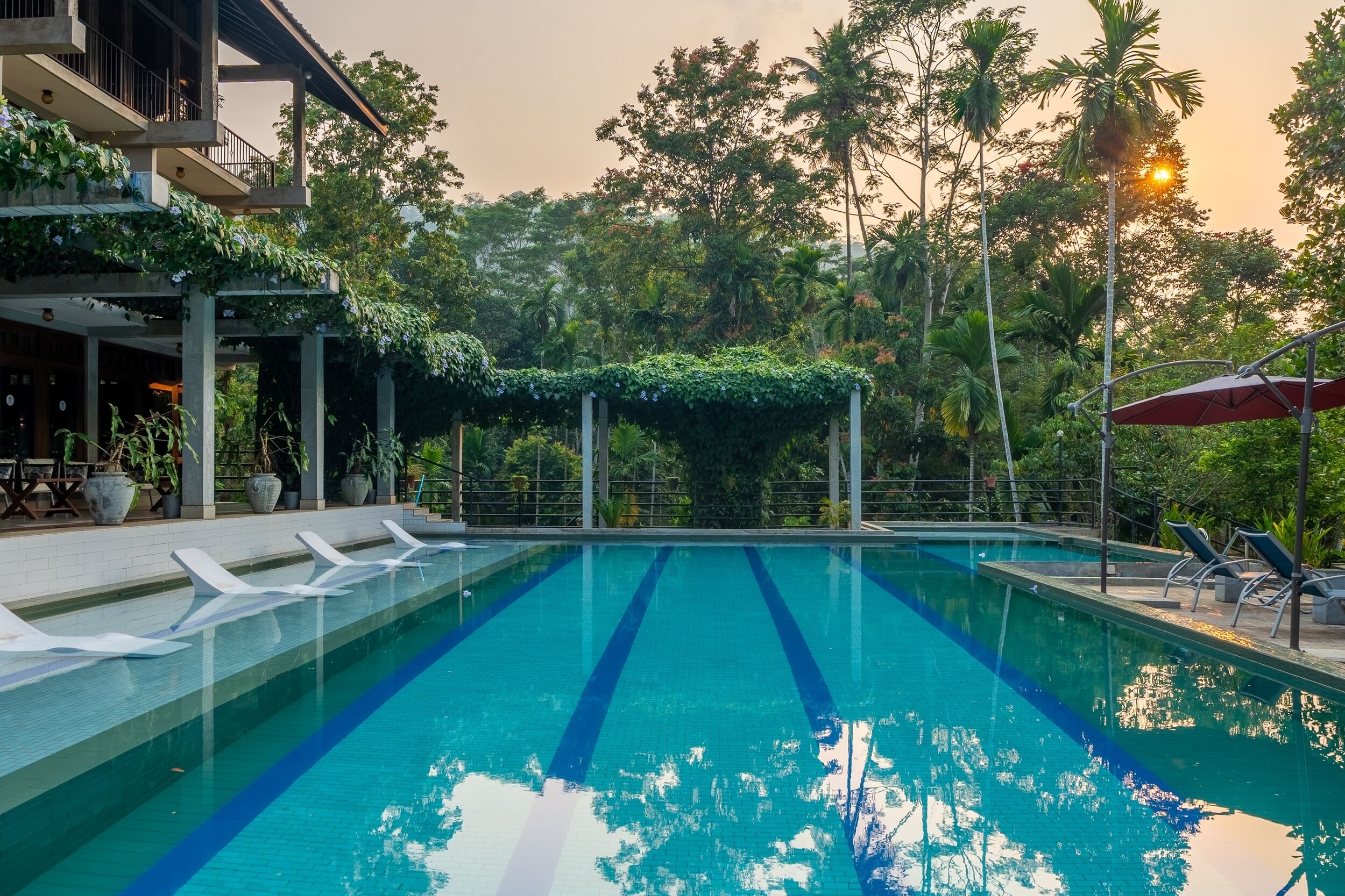 Piscina com espreguiçadeiras, cercada por vegetação e um edifício com varanda.