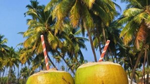 Deux mains tenant deux noix de coco vertes, chacune munie d’une paille, avec des palmiers et un ciel bleu en arrière-plan.