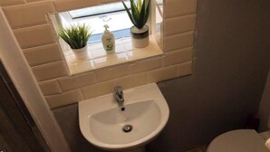 Een badkamer met een witte wastafel, een toilet en een spiegel boven de wastafel. Op de plank onder de spiegel staan twee potplanten.