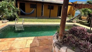 A house with a swimming pool, a hammock, and a garden with plants.