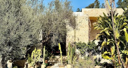 Maison d'artiste, villa Ă Utique