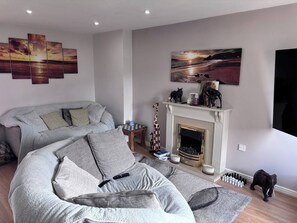 TV, fireplace, books, stereo