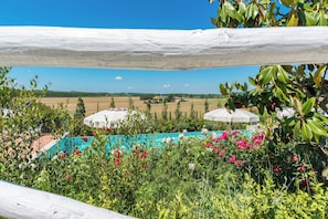 Property grounds - Wonderful Family Suite in Tuscany near Pisa and Florence - 2 Bedrooms 4 PL (Palaia)