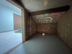 Ein Zimmer mit großem Fenster, einer Holztür und einer Deckenprojektion.