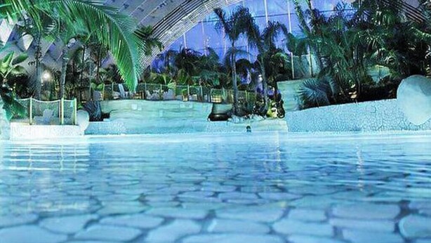 An indoor pool with a stone floor, surrounded by tropical plants and palm trees. - Comfortable 44 M2 house, 3* Gîte de France, 100 m from stock pond. (Kerprich-aux-Bois)