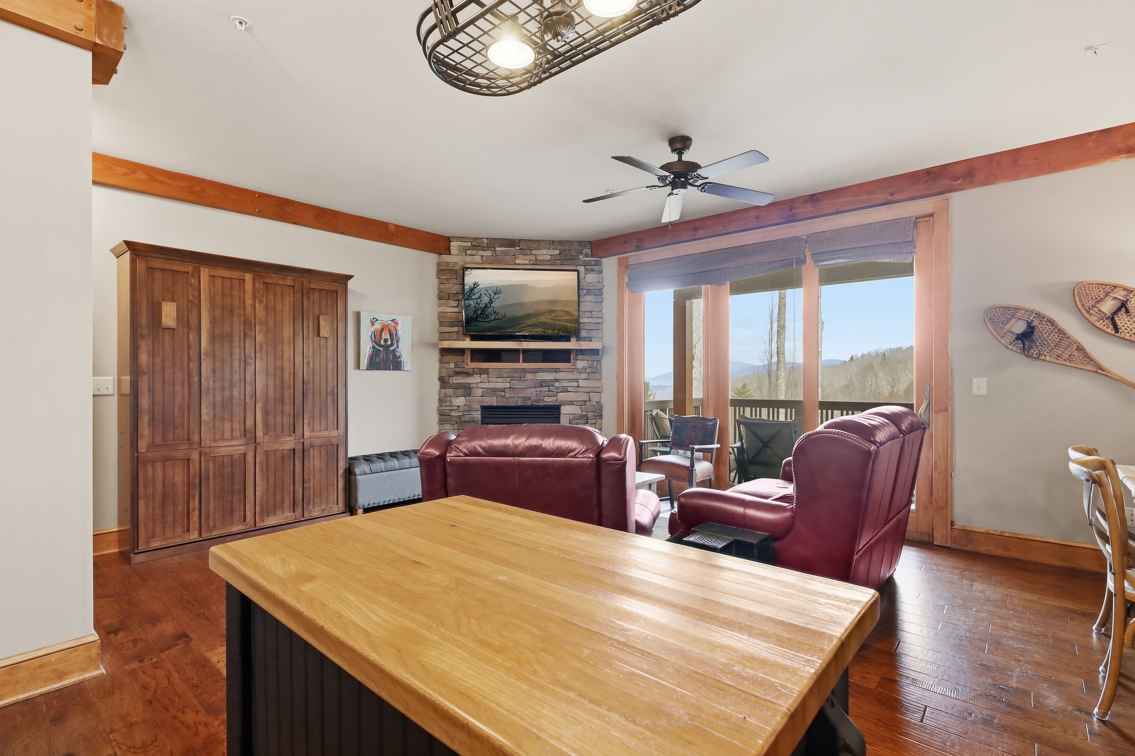 Smart TV, fireplace, books