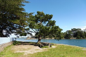 Un espace de pique-nique au bord du lac, avec un banc, un arbre et un bâtiment situé au loin.