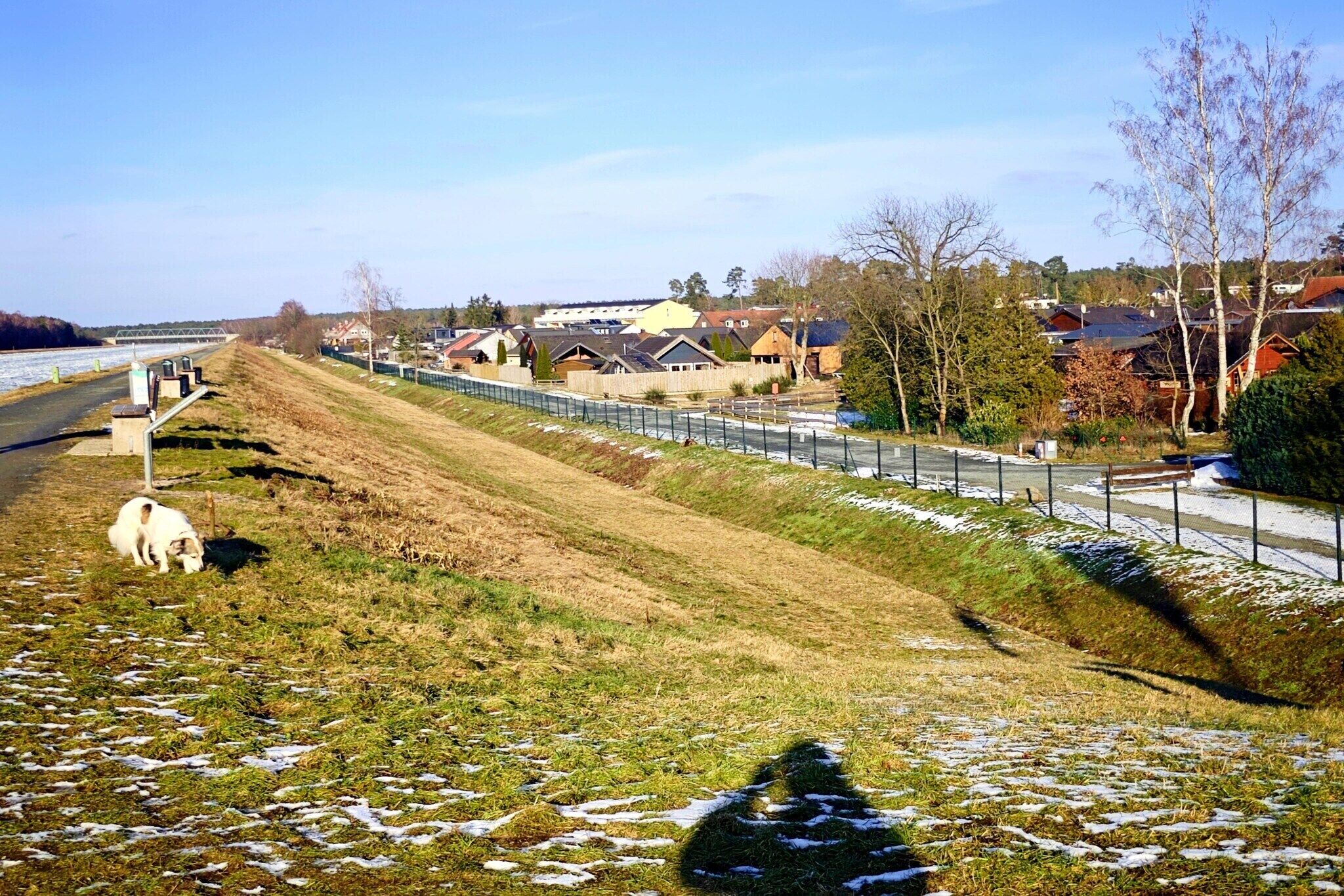 Ländliche Landschaft mit einer Straße, einem weißen Hund, Häusern und einer Brücke in der Ferne.
