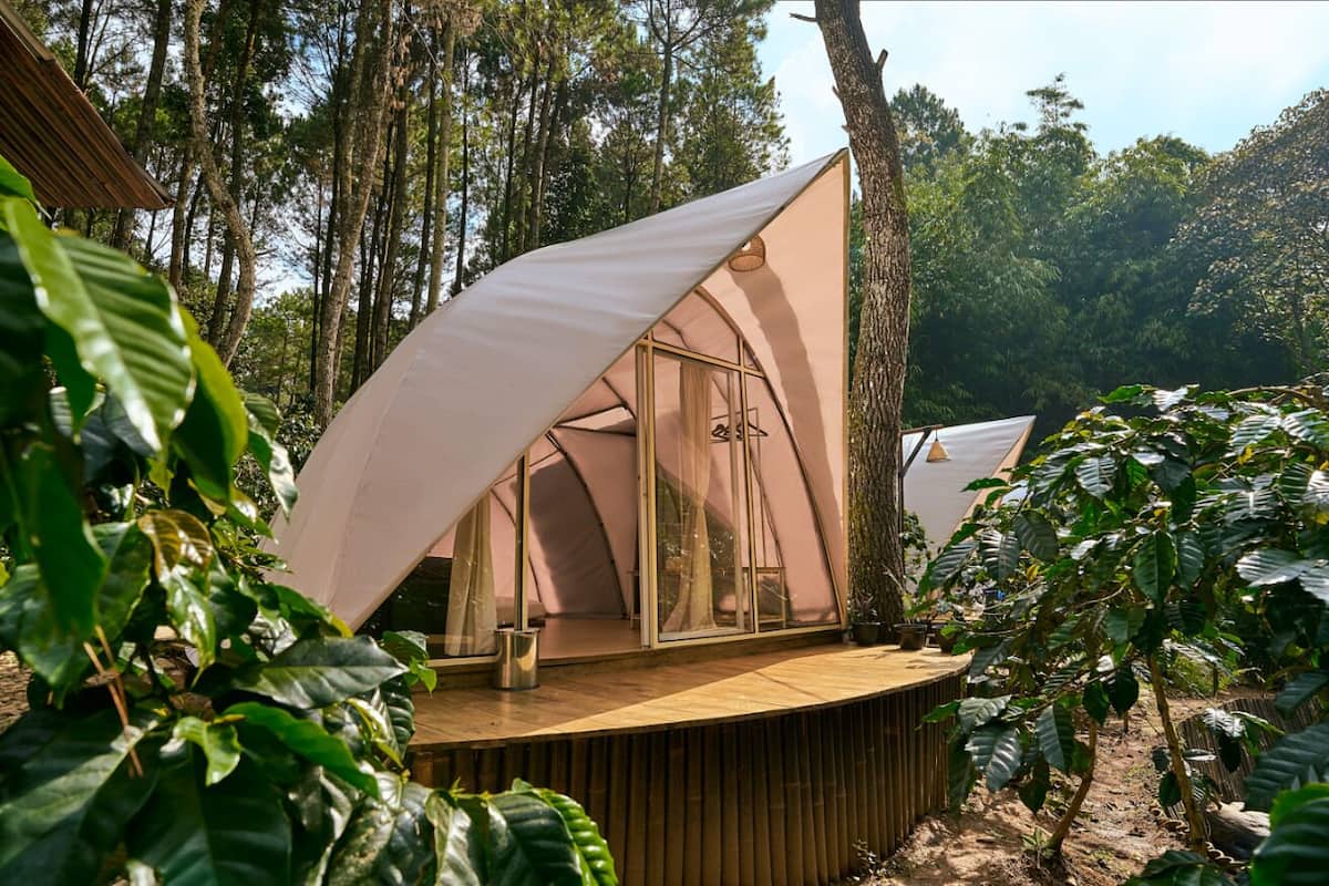 Snail Tent