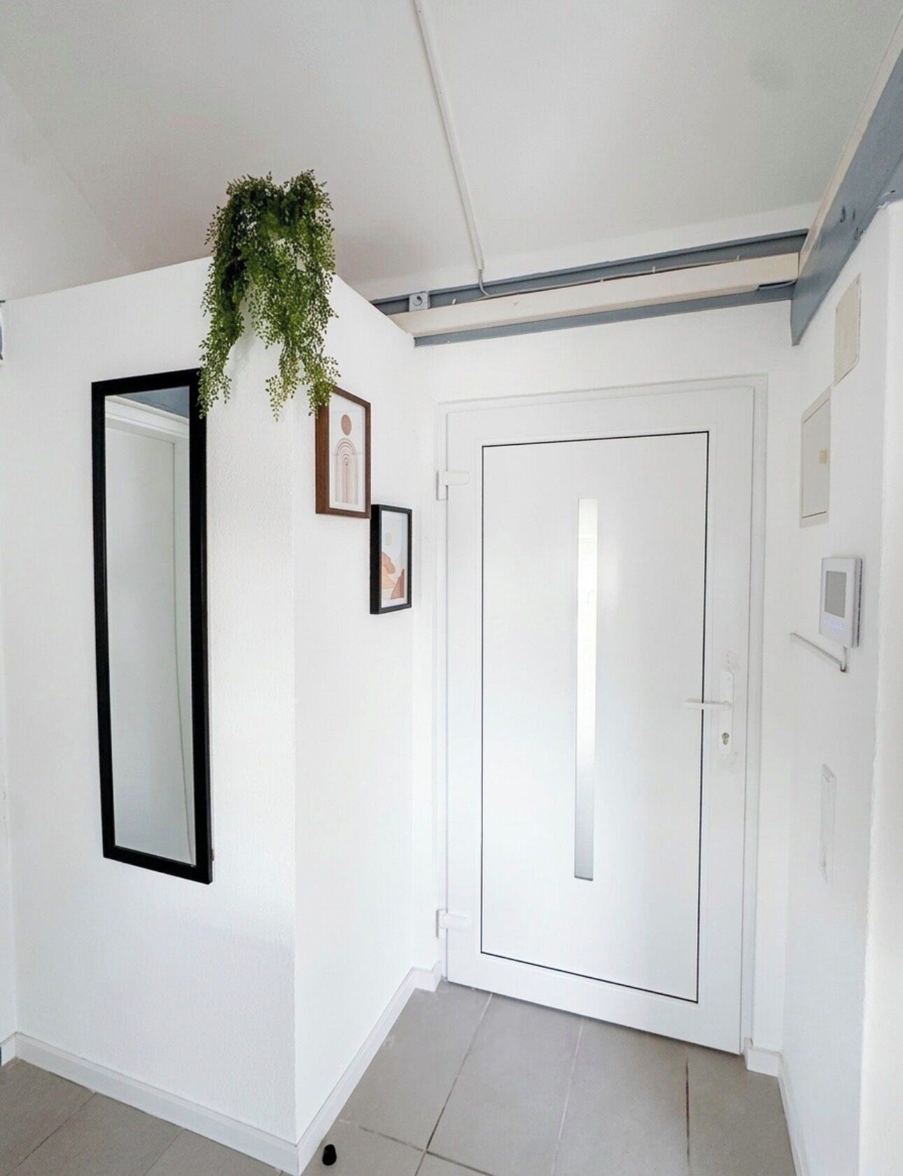 A hallway with a white door, a black-framed mirror, and a hanging plant.