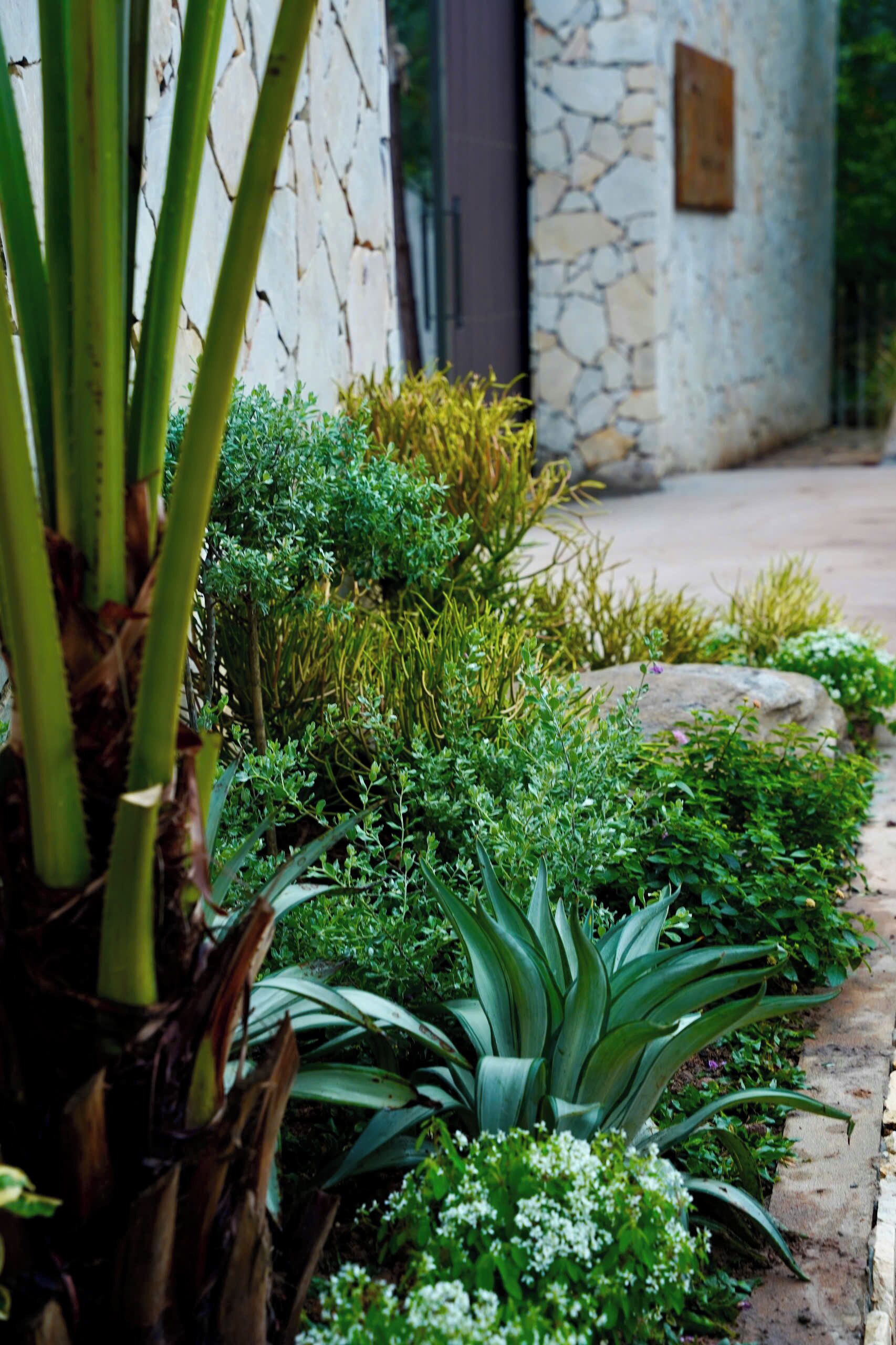 A stone wall with a garden featuring various plants and a pathway.