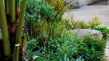 A stone wall with a garden featuring various plants and a pathway.