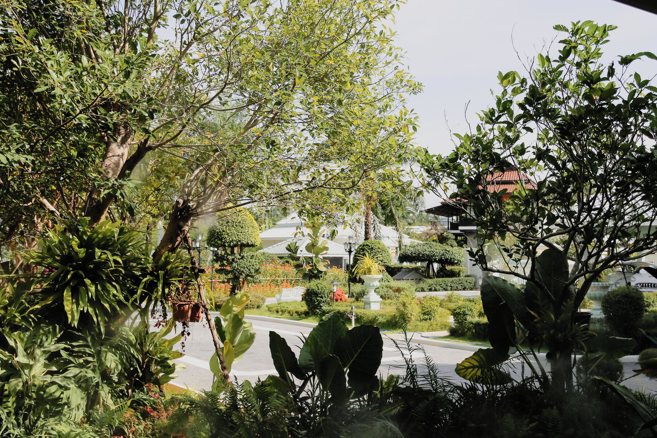 Deluxe Double Room, Garden View | View from room