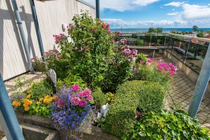 A rooftop garden with various flowering plants and a view of the sea. - Berolina 512—direct view of the Baltic Sea! (Dahme)