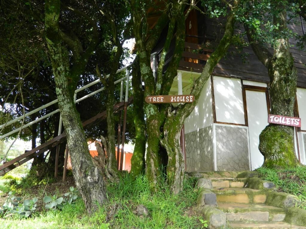 A treehouse with a sign labeled 'Tree House' and another sign indicating 'Toilets.'