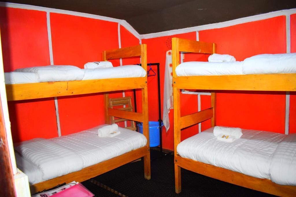 Basic-værelse til 4 personer - udsigt til have