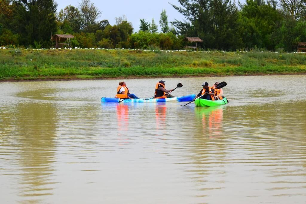 A group of people kayaking on a calm river.