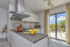 Private kitchen - Modern villa with pool in Vabriga near Poreč (Vabriga)