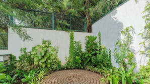 Un chemin circulaire pavé de briques, bordé d’une végétation luxuriante et verdoyante, et une clôture verte devant un mur blanc.