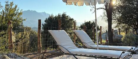 Terras