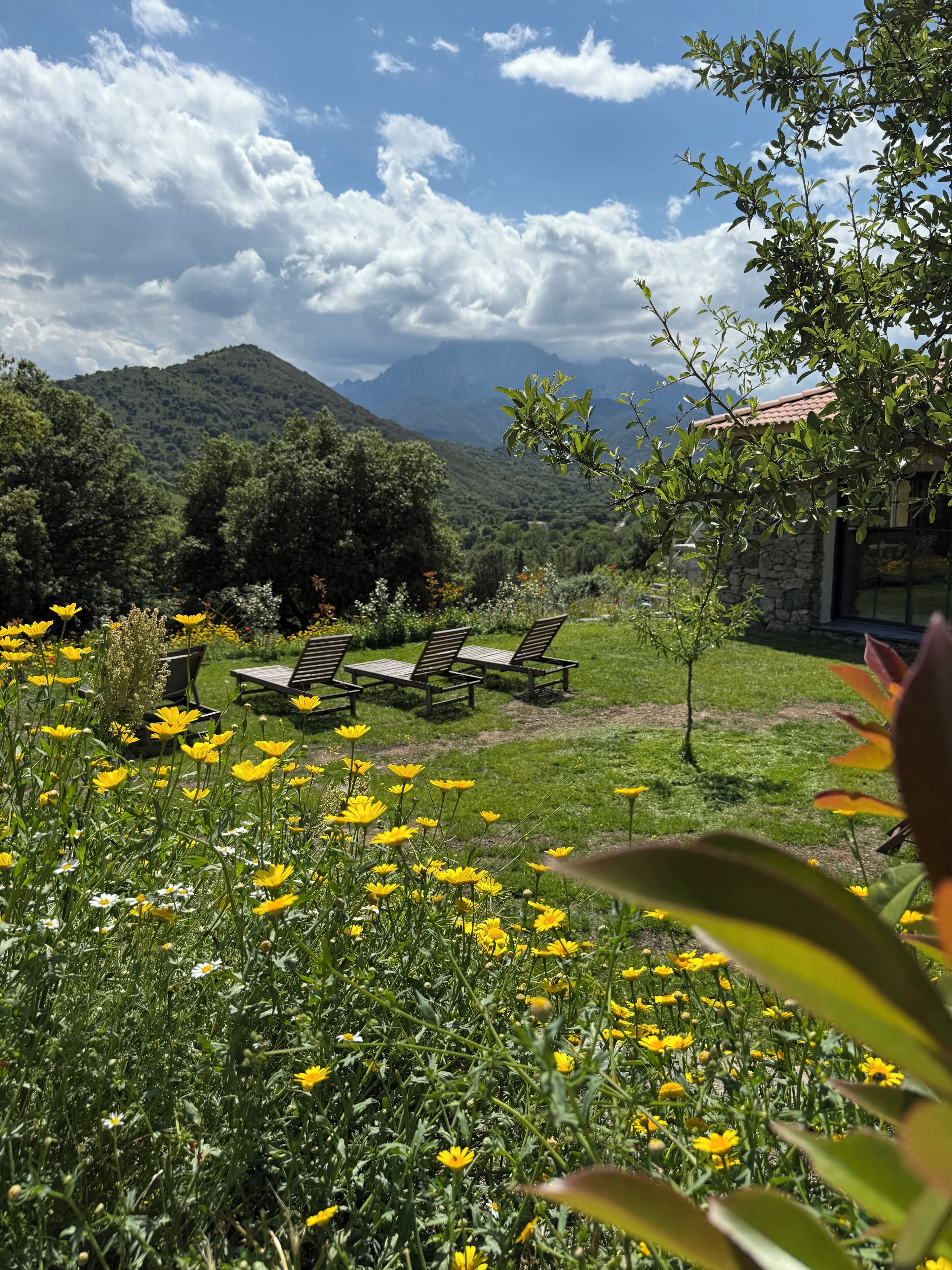 Jardines del alojamiento