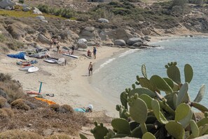 Una playa con gente, un cactus en primer plano y un paisaje rocoso.