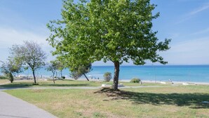 Uma trilha arborizada que leva a uma praia, com vista clara para o mar.