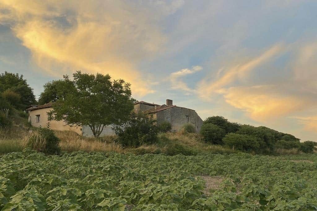 Un paysage rural avec un bâtiment en pierre, un arbre et un champ.