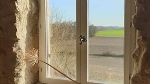 Una habitación rústica con pared de piedra, ventana con vistas a un campo verde y una sola semilla de diente de león en el alféizar.