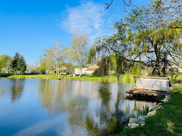 A serene lakeside park with a wooden dock, trees, and houses in the background.