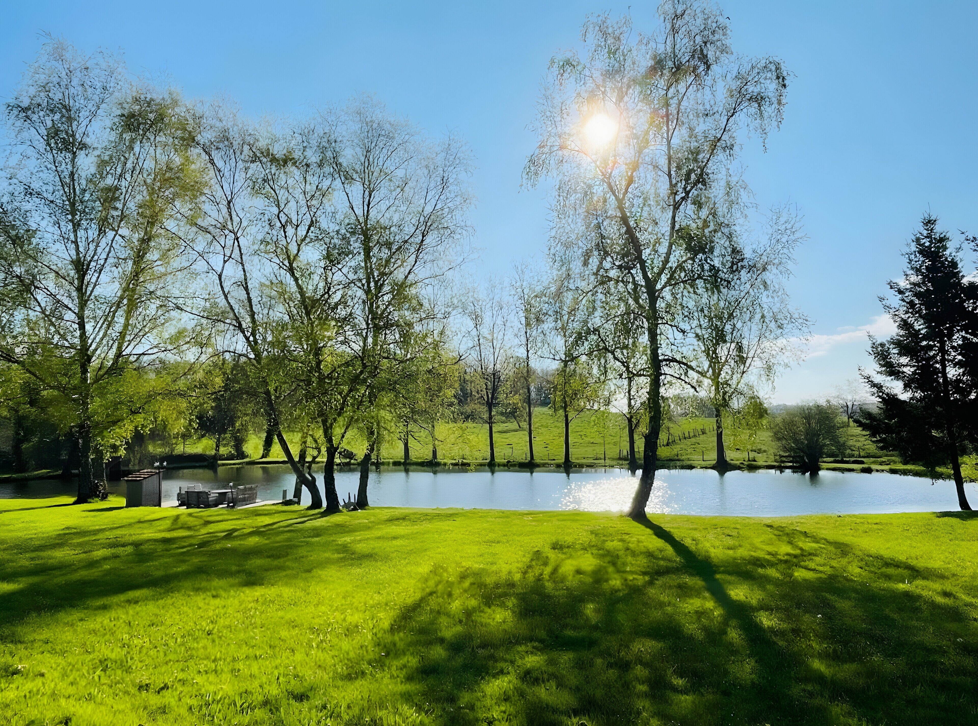 Een vredig park met een vijver, bomen en een heldere lucht.