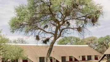 Enceinte de lâhĂ©bergement