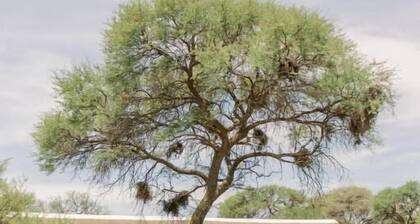 Okahandja Country Hotel