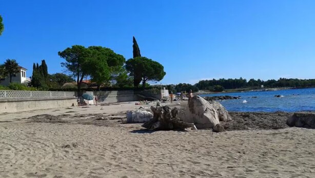 A sandy beach with rocks, trees, and a clear blue sky. - Authentic Istrian Apartments Villa Zambratija (Umag)