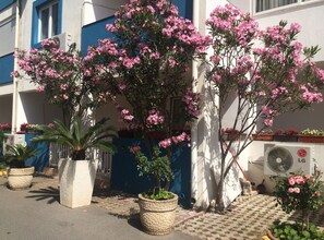 開放式客房 (Studio Apartment with Terrace 4) | 外觀