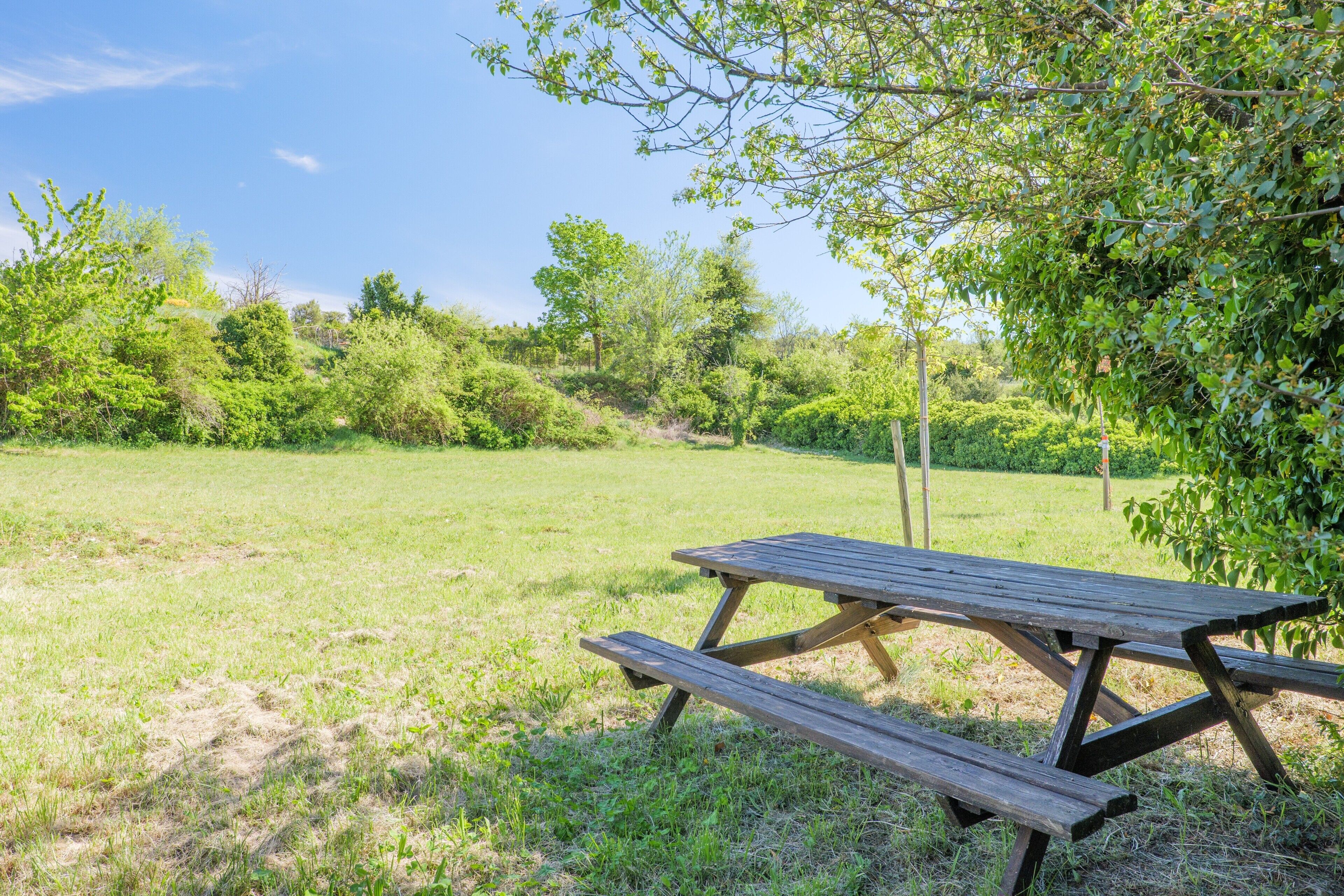 Une table de pique-nique dans un champ herbeux, avec des arbres en arrière-plan.