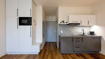 Deluxe Apartment | Private kitchen