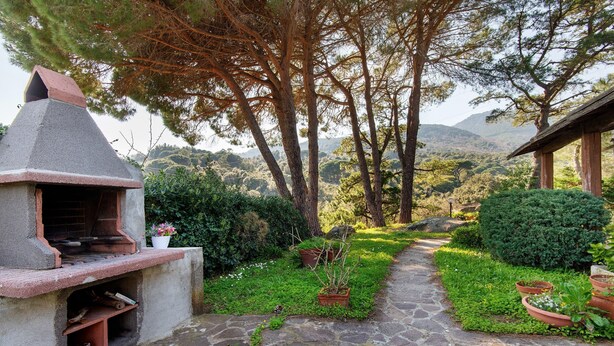 Un chemin de pierre mène à un espace de détente extérieur rustique, doté d’un barbecue intégré, et entouré d’une végétation luxuriante et d’arbres.