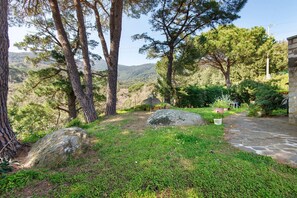 Property grounds - Apartment 'Unit 1' with Sea View, Wi-Fi and Air Conditioning (Sant'Ilario)