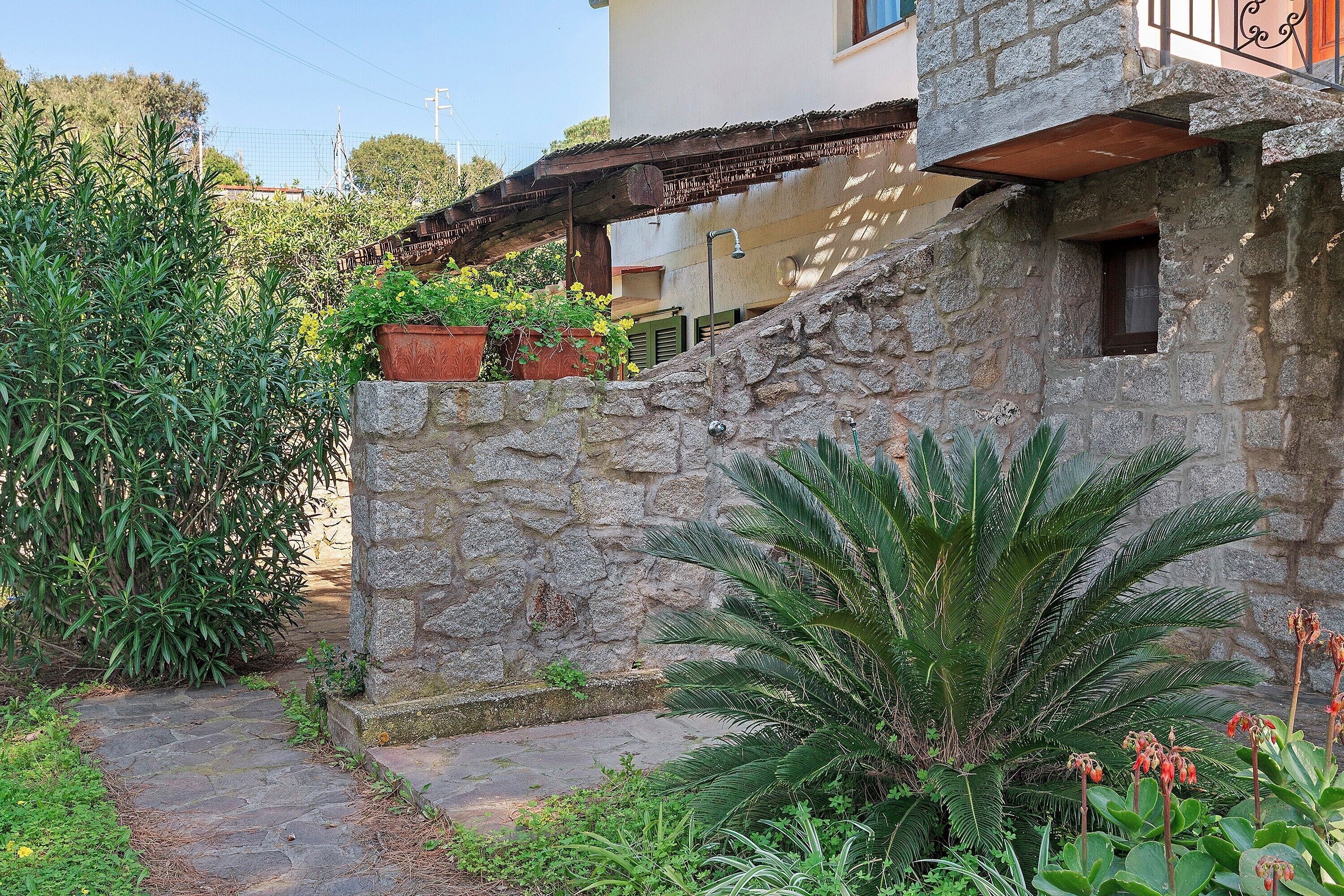 Un muro di pietra con una piccola finestra, un sentiero in pietra e vegetazione lussureggiante, tra cui una palma.