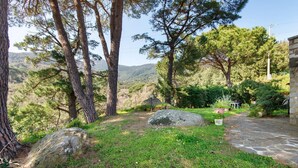 Un chemin de pierres menant à un bâtiment, entouré d’arbres et d’une zone herbeuse.