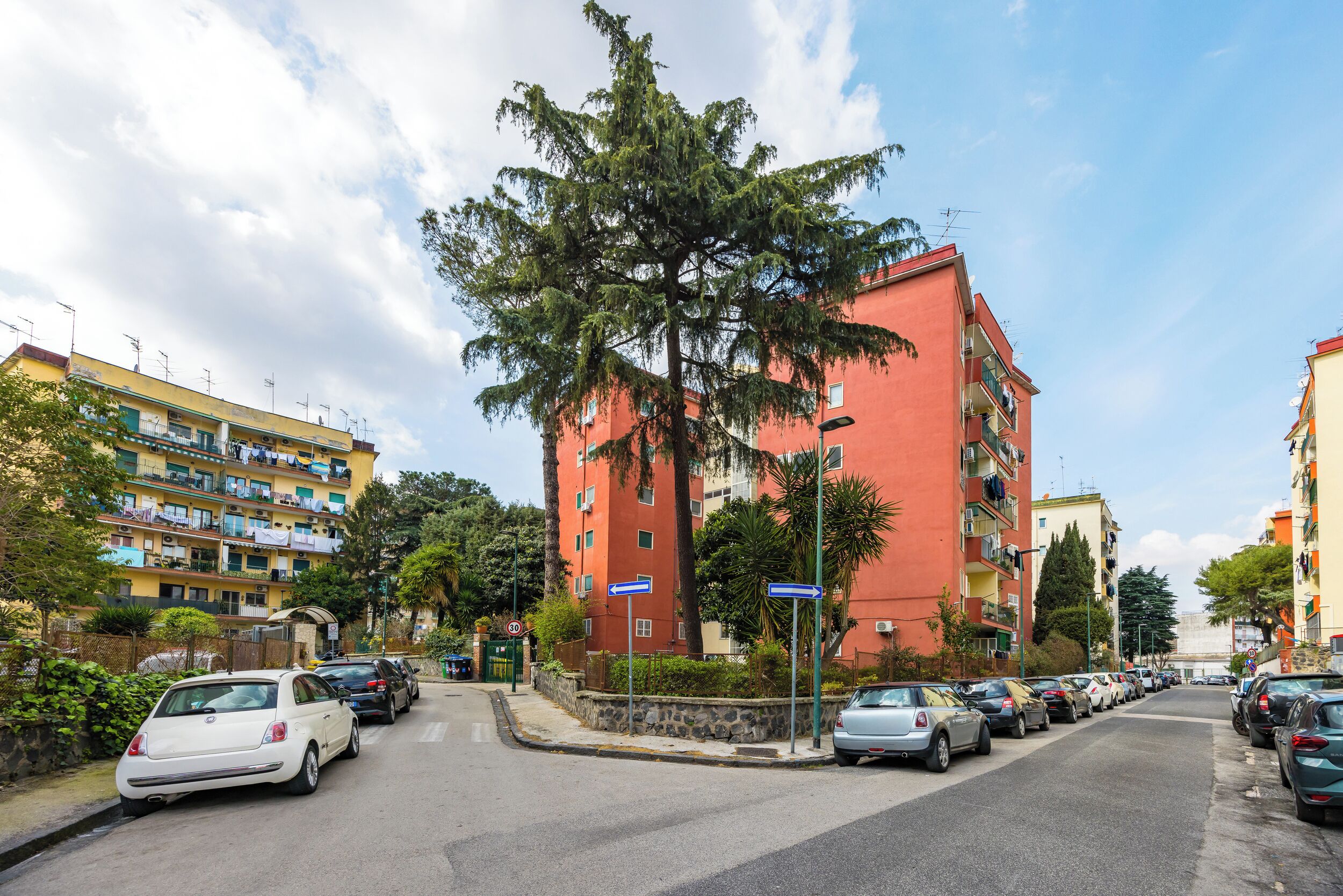 A street with parked cars, a red building, and a tree.