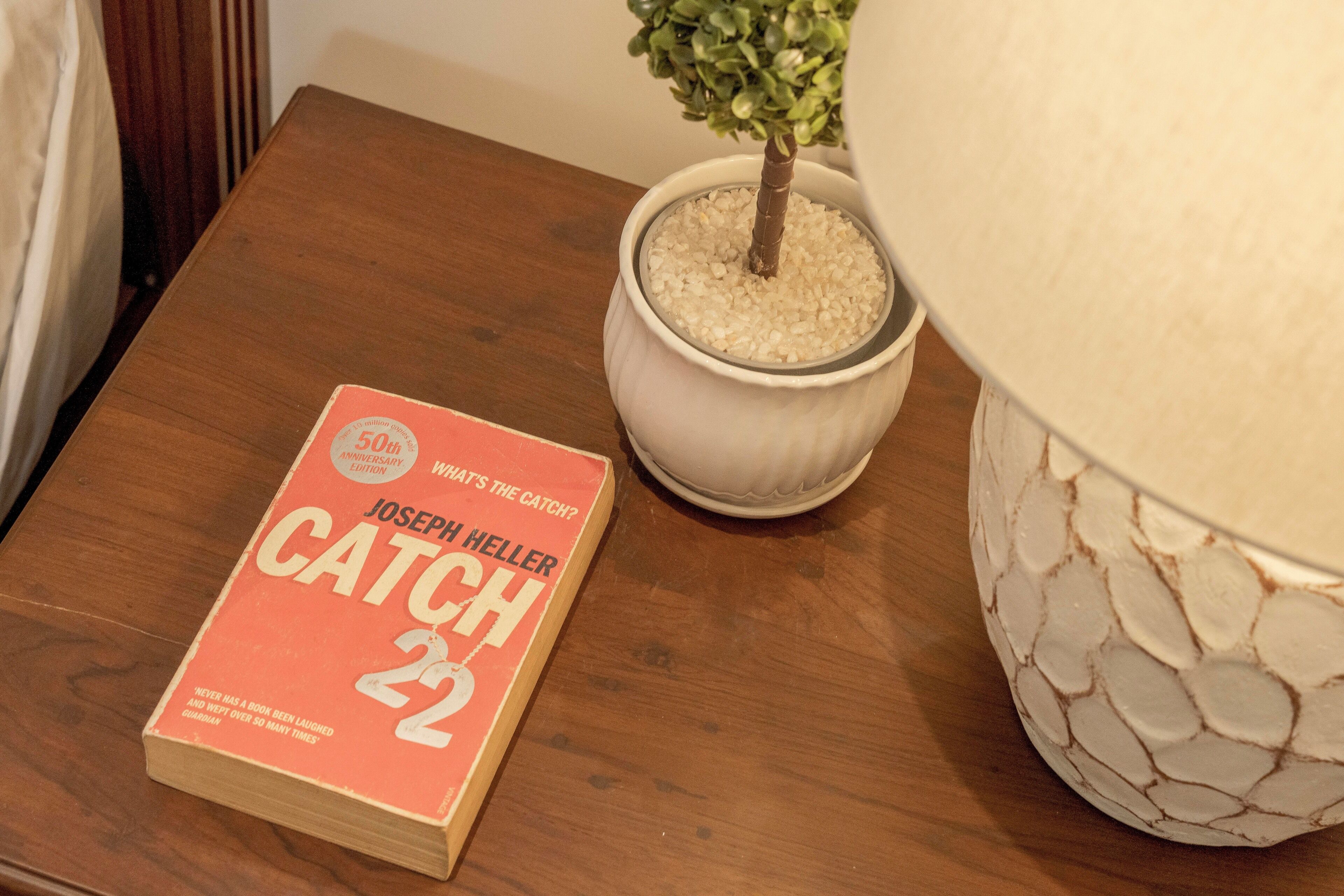 A book titled 'CATCH 22' by Joseph Heller on a wooden table, a potted plant, and a decorative lamp.