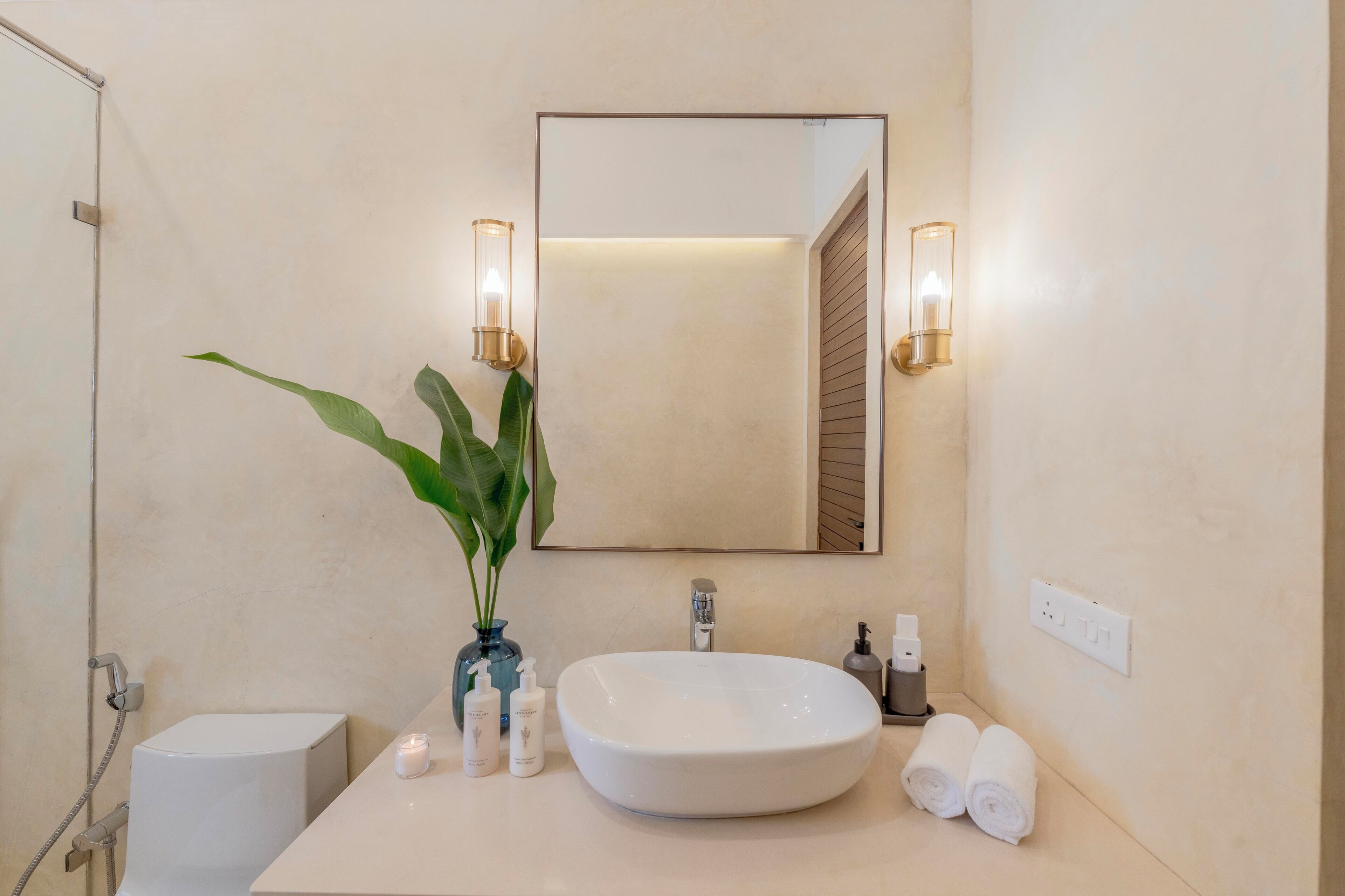 Un baño con un lavamanos blanco, un espejo, dos luces empotradas, una planta en maceta, un perchero y un inodoro.