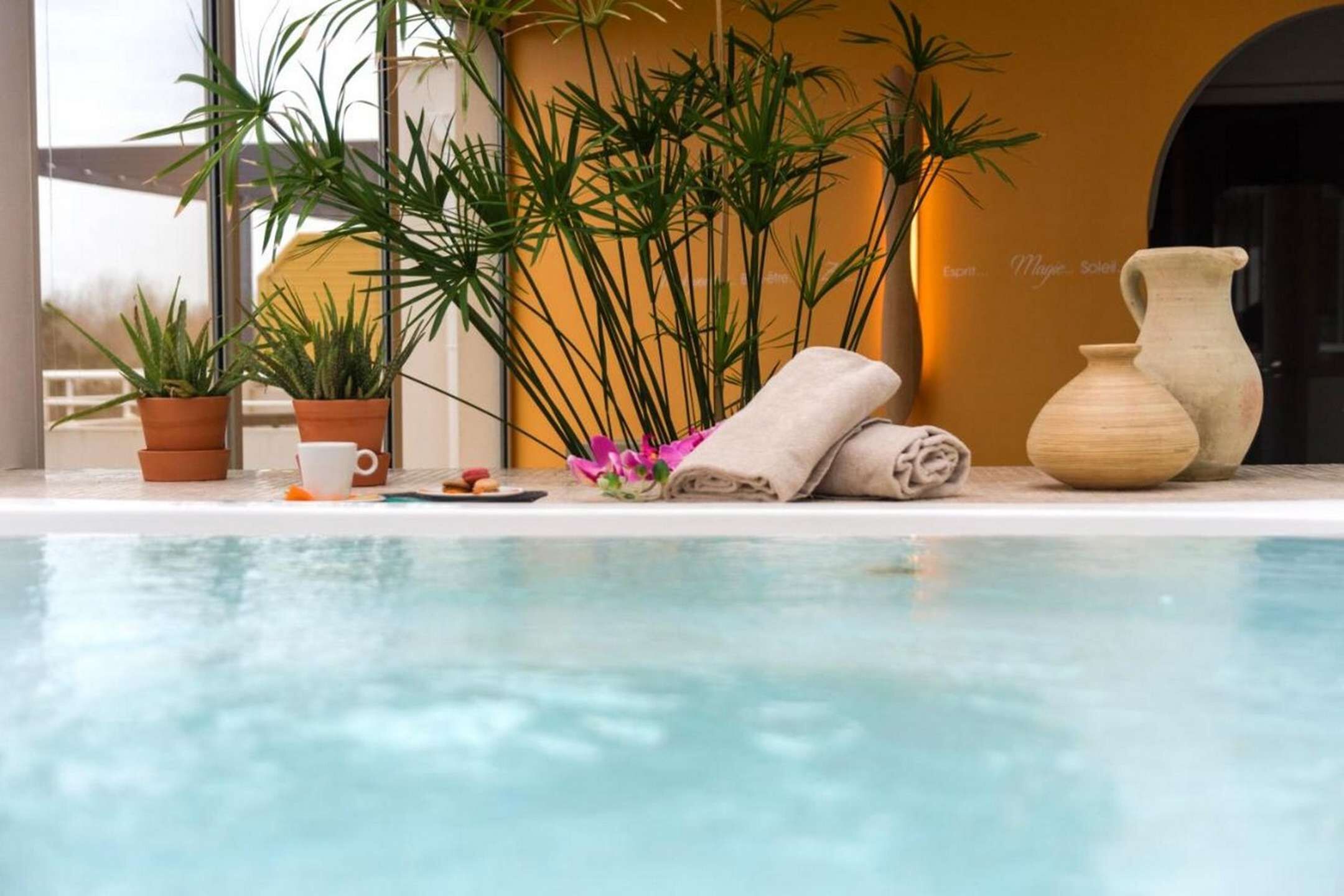 Zona junto a la piscina con vista despejada al agua, plantas en macetas, un florero y toallas.