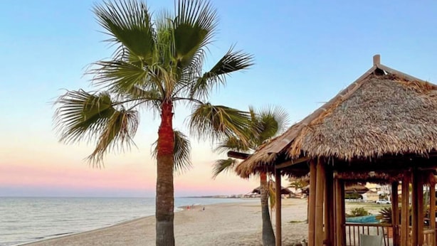 Une plage avec un palmier et une hutte au toit de chaume.